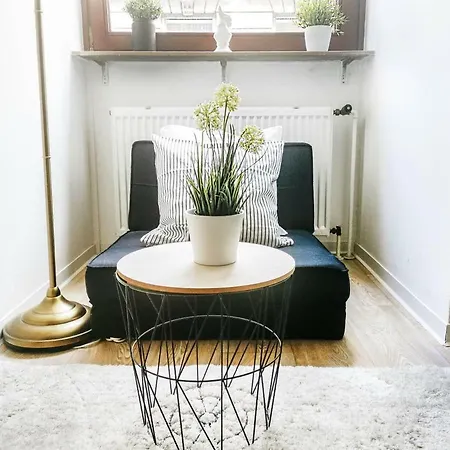 Innenstadt Whg. Mit Netflix Direkt An Uni/schloss * מאנהיים